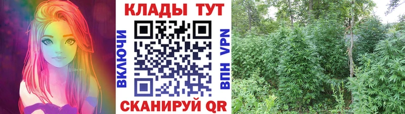 Виды наркотиков купить Выкса ГАШ