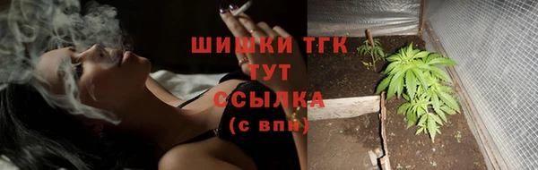 СК Аркадак