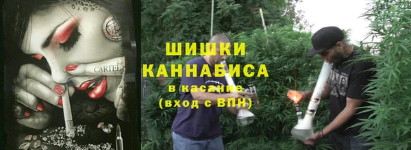 винт Армянск