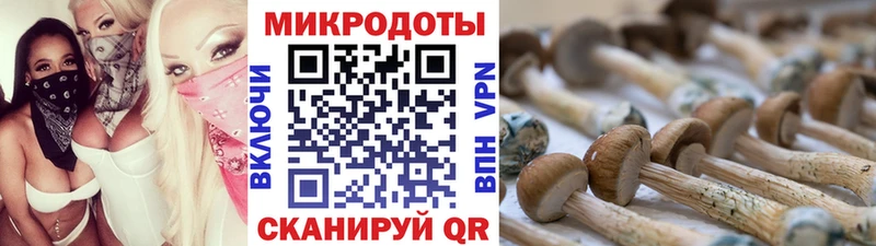 кракен онион  Выкса  Галлюциногенные грибы MAGIC MUSHROOMS  купить наркоту 